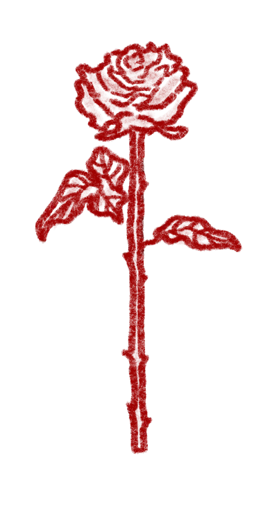 Illustration of a rose standing straight up cut at the stem